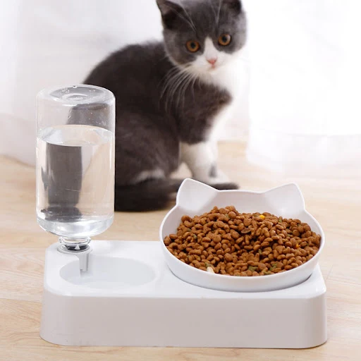 Pet Bowl Automatic Feeder Dog Cat Food Bowl with Water Dispenser Double Bowl Drinking Raised Stand Dish Bowls with Pet S