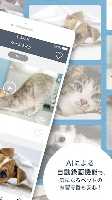 ペットみるん - ペット見守りカメラアプリ。AI自動録画で動画、写真を記録管理のおすすめ画像2