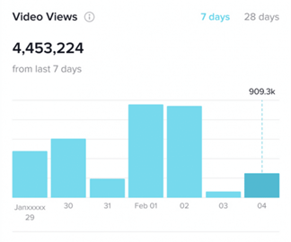 TikTok "Views" analytics