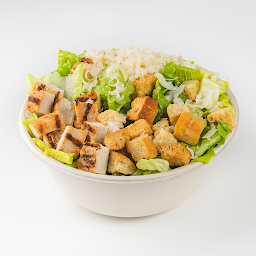 Grilled Chicken Caesar Salad