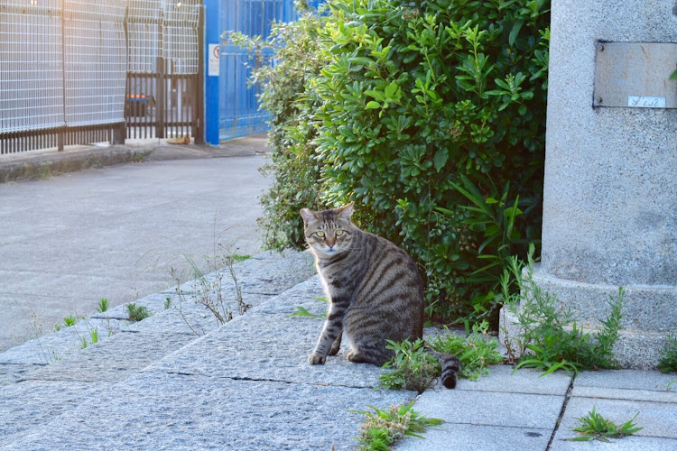 の投稿画像3枚目