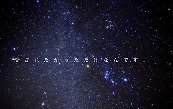 愛　さ　れ　た　か　っ　た　だ　け　な　ん　で　す　。