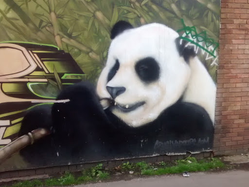 Panda Wall Art