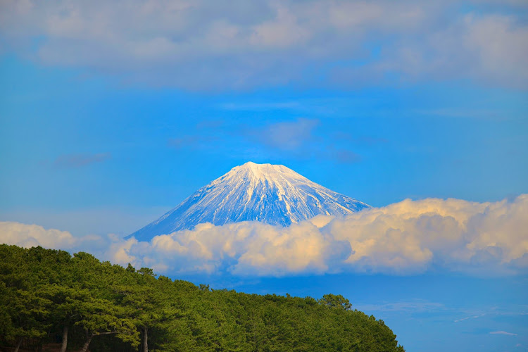 の投稿画像10枚目