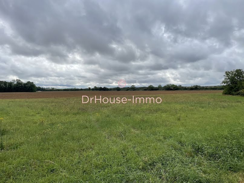 Vente terrain   à Beaumont-du-Gâtinais (77890), 57 500 €