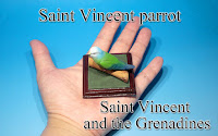 Saint Vincent parrot -St Vinc & Grenadines-