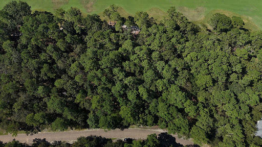 Terrain 5