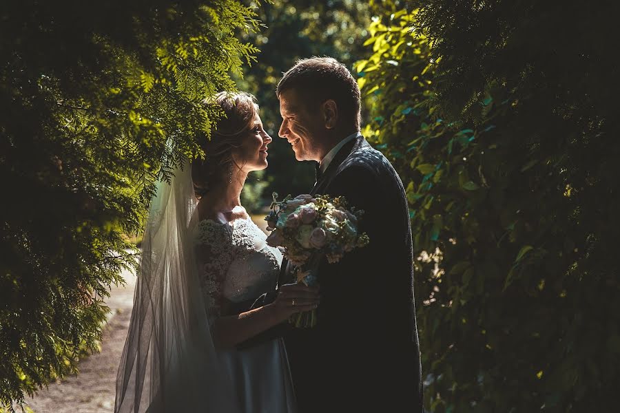 Wedding photographer Dmitriy Tolmachev (dimtol). Photo of 26 February 2018