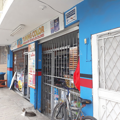 Opiniones de Tuning Color en Guayaquil - Tienda de pinturas