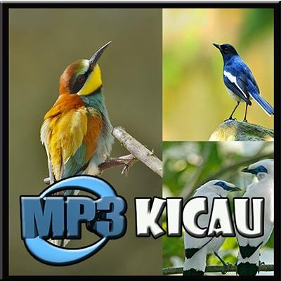 KICAU BURUNG MASTER DOWNLOADER