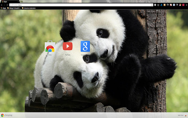 Panda Love for 1366 X 768 resolution chrome extension