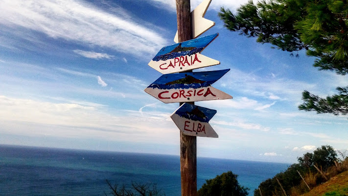 Populonia, Toscana di AlessandraBertelli