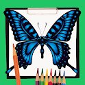 How to Draw an Easy Butterfly