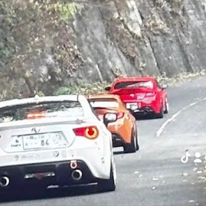 86 ZN6