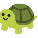 Focus Turtle