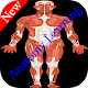 Download Best Anatomy Muscles Learning For PC Windows and Mac 1.5.3