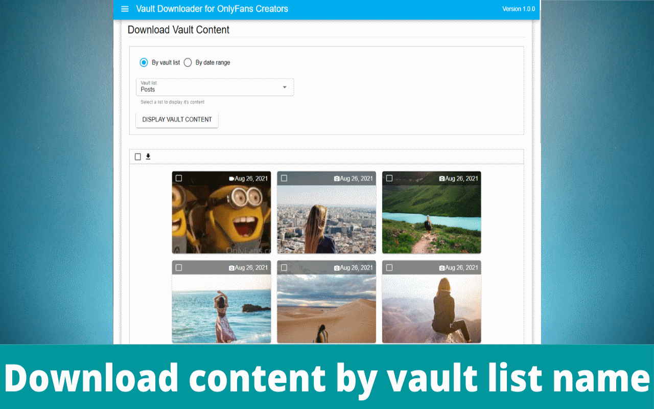 Vault Downloader for OnlyFans Creators Preview image 3