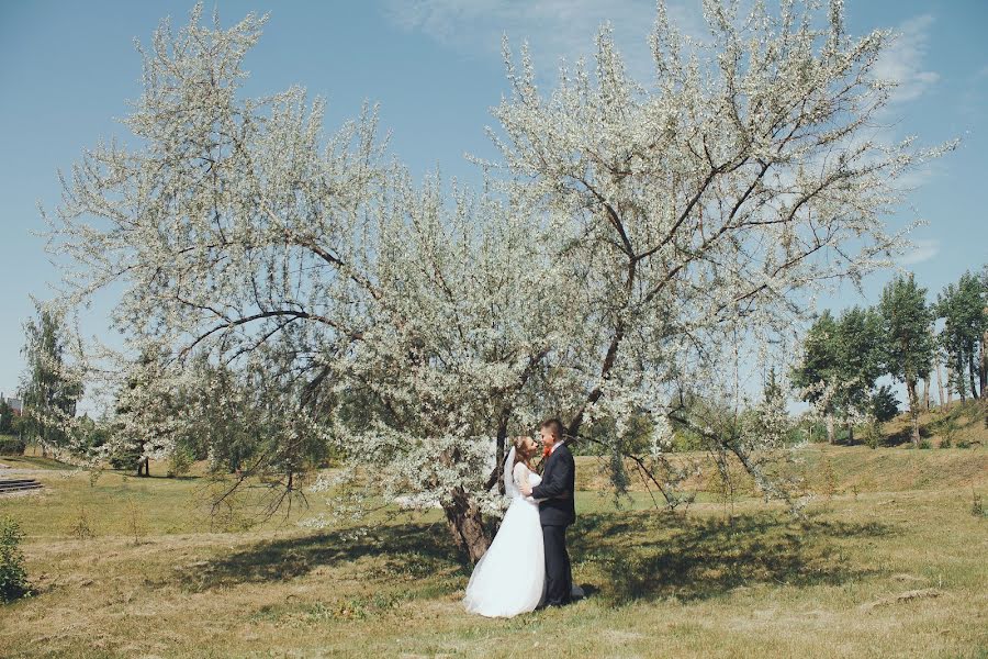 Fotógrafo de casamento Ekaterina Kovaleva (evkovaleva). Foto de 19 de junho 2017