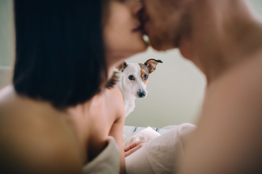 Fotógrafo de bodas Evgeniya Sedneva (falcona). Foto del 14 de octubre 2015