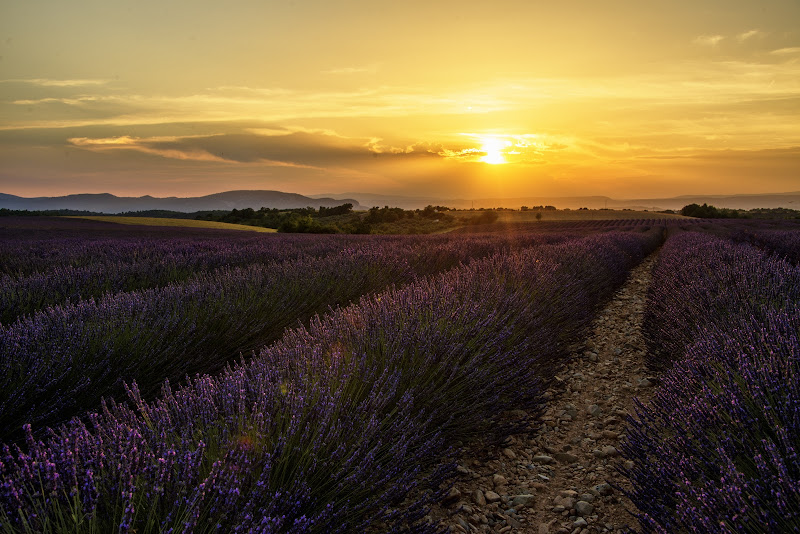 Tramonto provenzale! di Doriana Frau