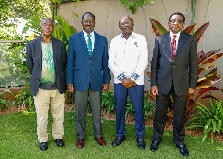 Makueni Governor Kivutha Kibwana, Raila Odinga, Mukhisa Kituyi and Siaya Senator James Orengo.