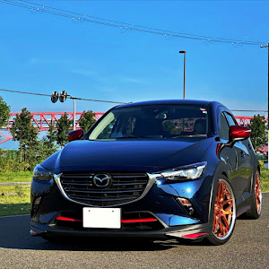 CX-3 DKEFW