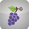 Grape Pocket Guide icon