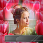 Cover Image of Download Tulips Photo Frames 1.3 APK