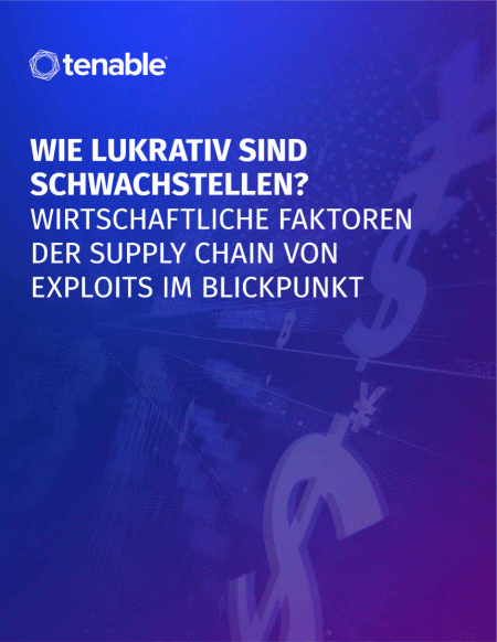 Die wirtschaftlichen Faktoren von Schwachstellen und Exploit-Supply-Chains