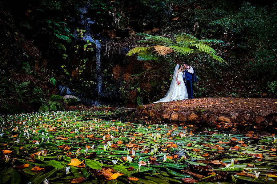結婚式の写真家Gita Moisés Veríssimo (gitafoto)。2016 11月3日の写真
