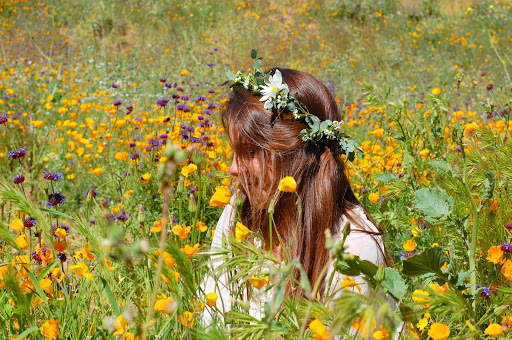 poppies5.jpg - Express your Wild Child in a field of golden poppies (I did!).