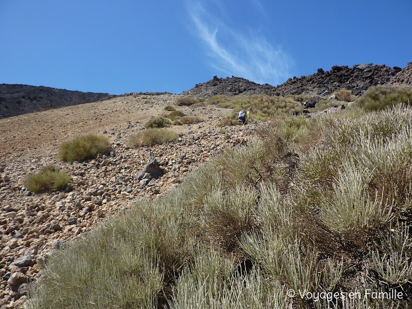 Tenerife, parc national du Teide, Teide