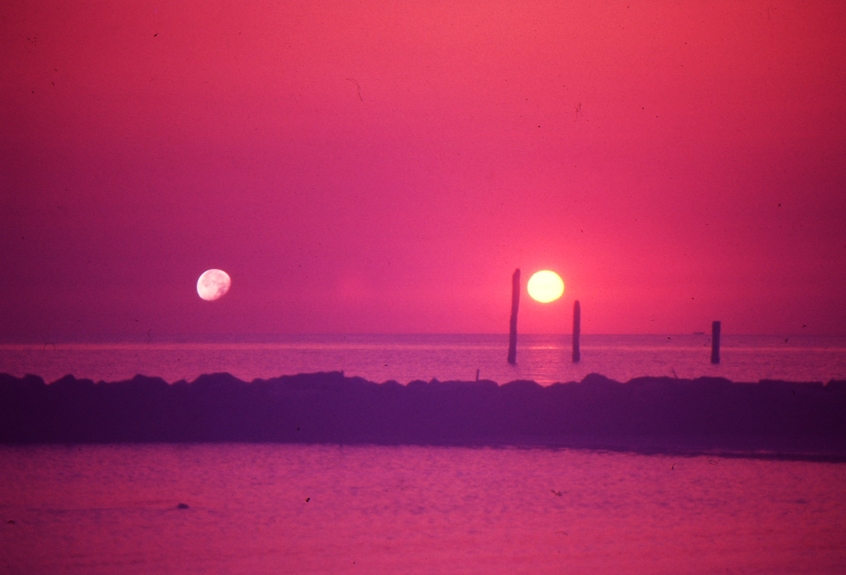 fratello sole sorella luna di Gp