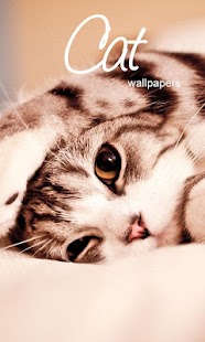 How to download Friend Cat Wallpapers 1.1.5 mod apk for android