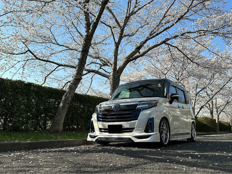 トールカスタムのボディカラー図鑑に関するカスタム事例の投稿画像6枚目