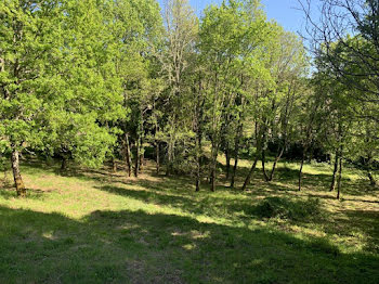 terrain à Sarlat-la-caneda (24)