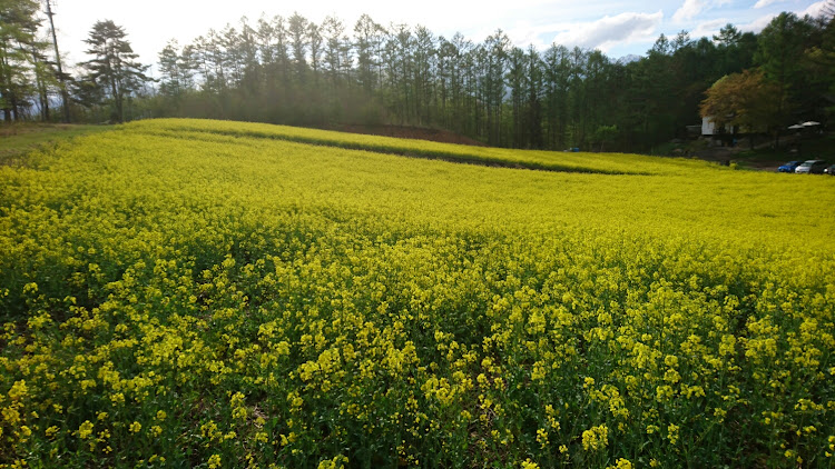 の投稿画像3枚目