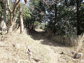 賤ヶ岳への登り