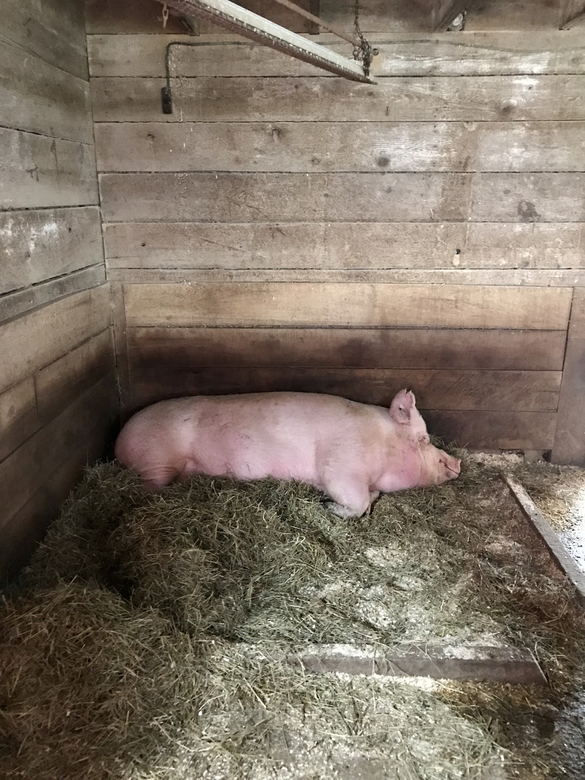 farms in southern ontario