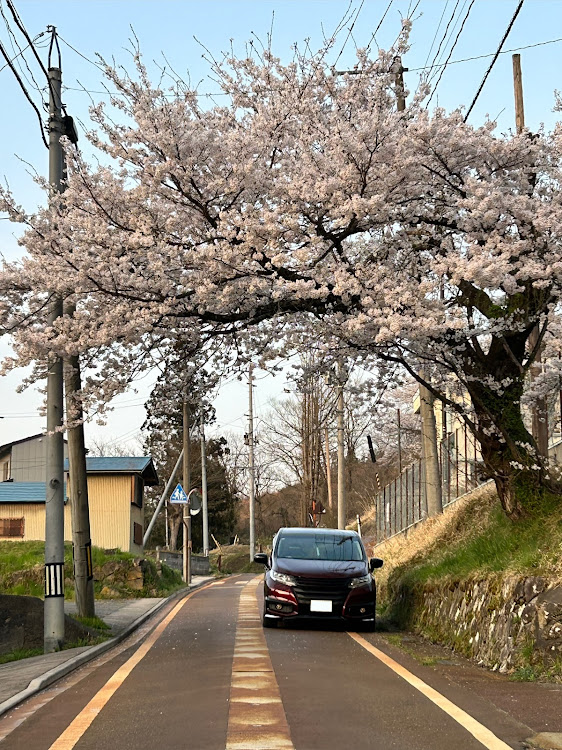 の投稿画像5枚目