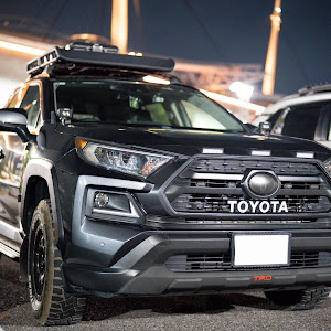 RAV4 MXAA54