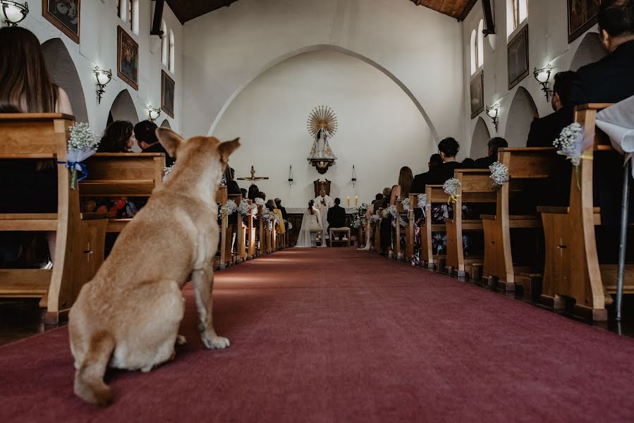 Fotógrafo de casamento Marcelo Hp (bodasfelipe). Foto de 4 de novembro 2018