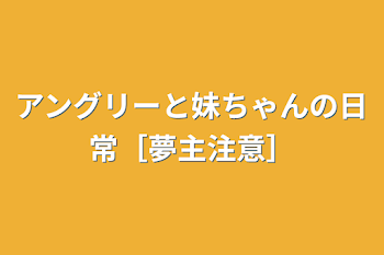 アングリーと妹ちゃんの日常［夢主注意］