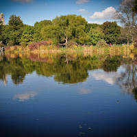 Fall foliage in Central Park di 