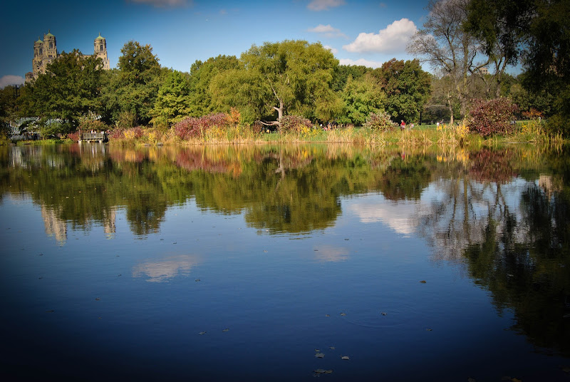 Fall foliage in Central Park di Dama