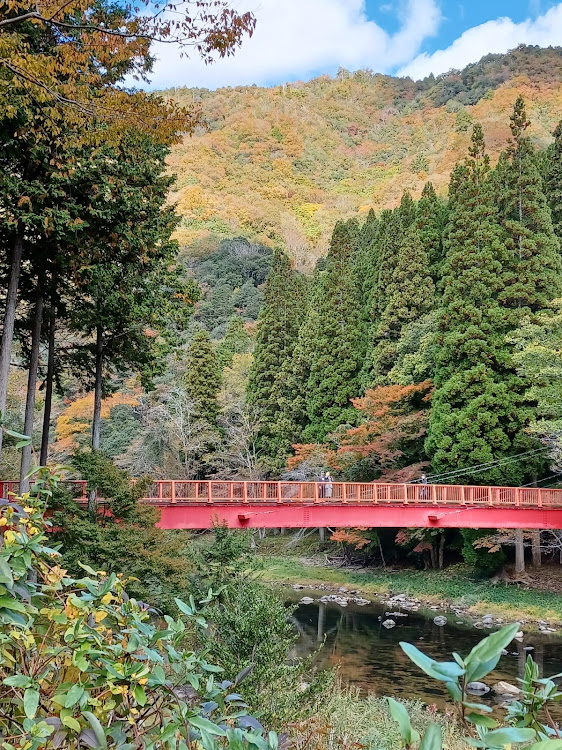 ヴォクシーの紅葉を求めて・紅葉と愛車・紅葉ドライブ・カメ活・コラボありがとうございました😊に関するカスタム事例の投稿画像15枚目