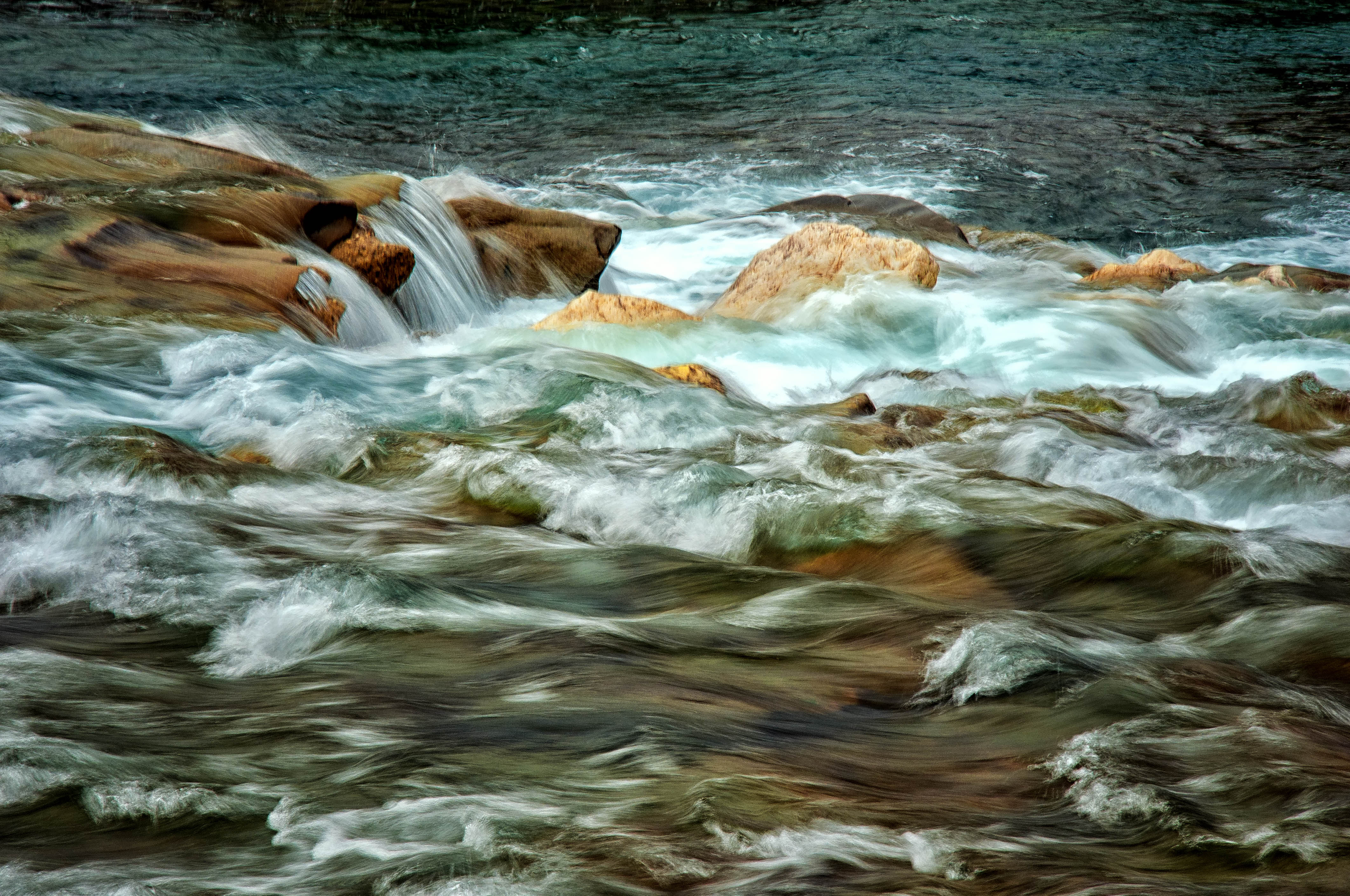 Naturalmente mosso  di Concetta Caracciolo