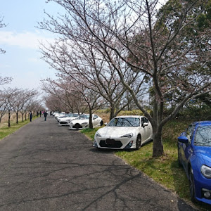 BRZ ZC6