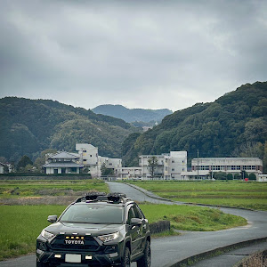 RAV4 MXAA54