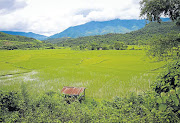 Long Chen in Lao People's Democratic Republic.